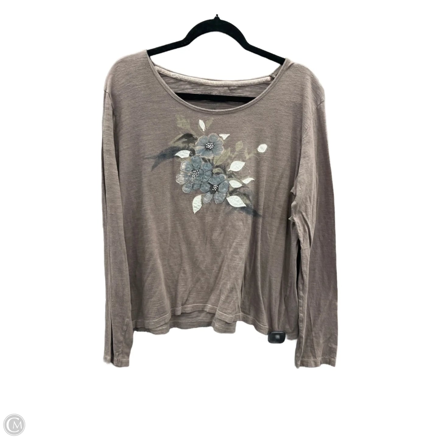 Top Long Sleeve By Clothes Mentor In Brown, Size: Xl