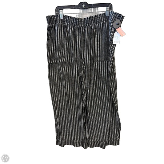 Pants Other By Time And Tru In Black, Size: 22