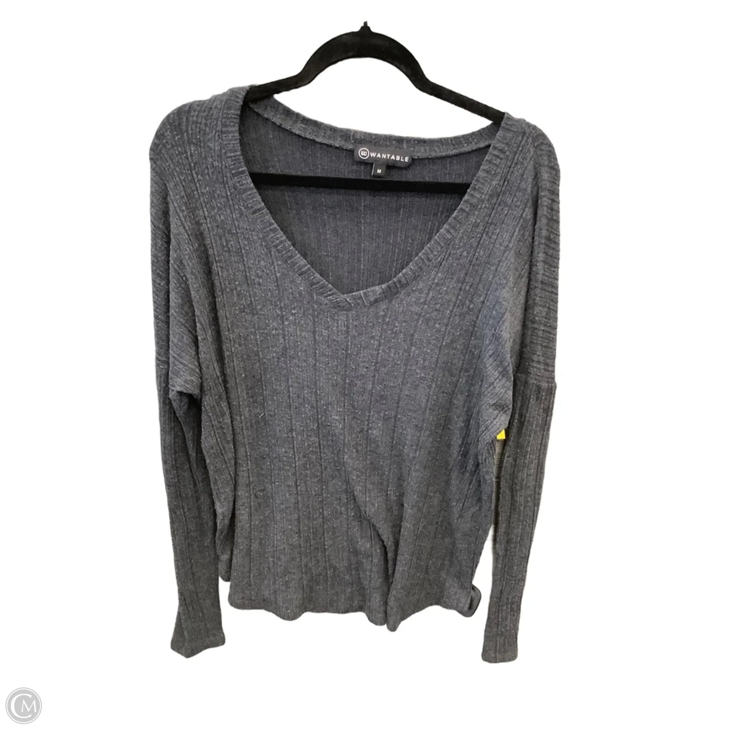 Top Long Sleeve By Clothes Mentor In Blue, Size: M