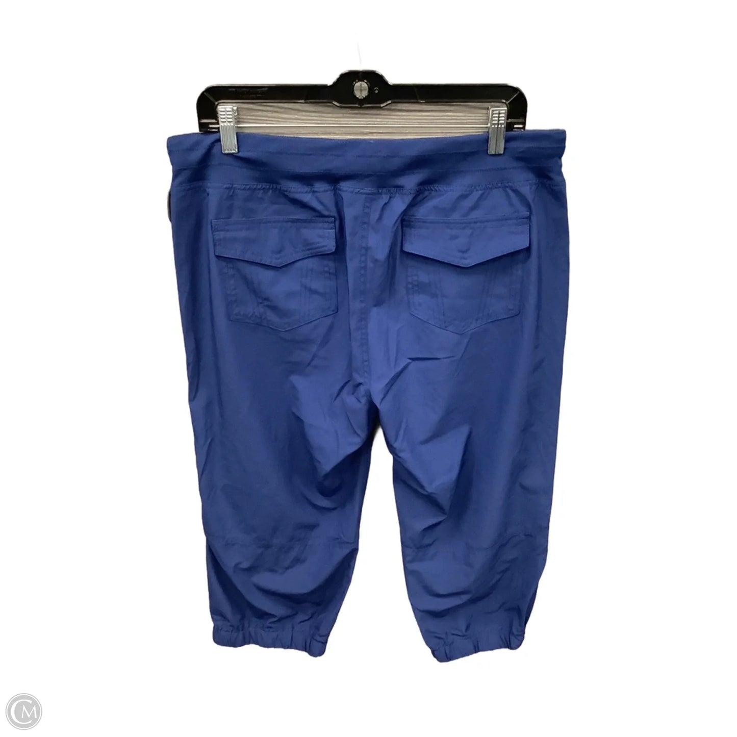 Athletic Pants By Tommy Hilfiger In Blue, Size: L