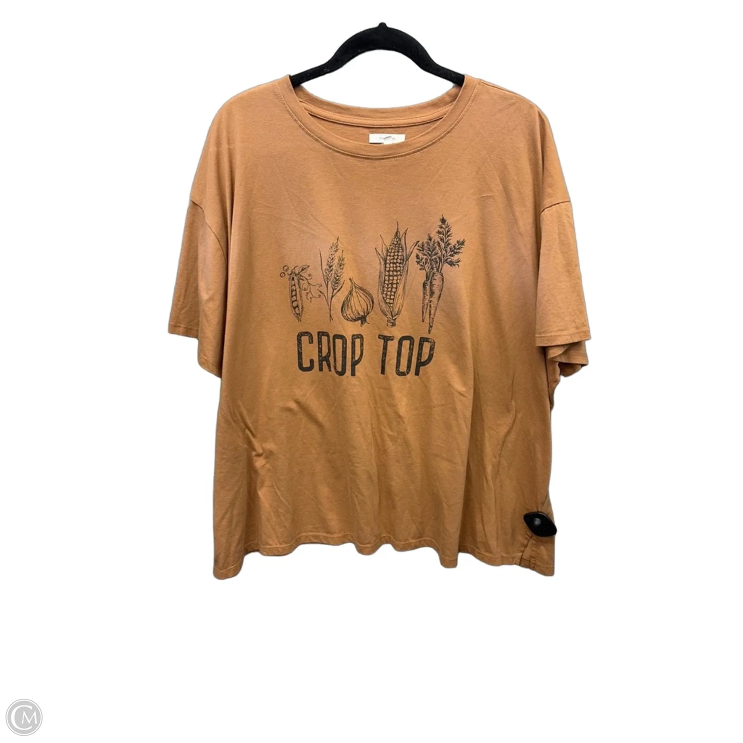 Top Short Sleeve By Maurices In Brown, Size: 3x