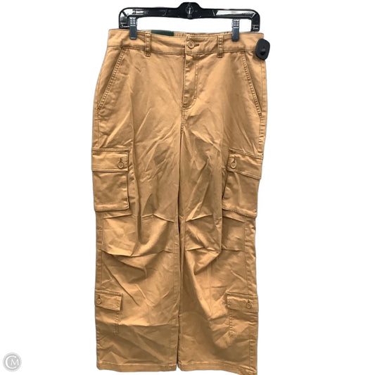 Pants Cargo & Utility By Wild Fable In Brown, Size: 8