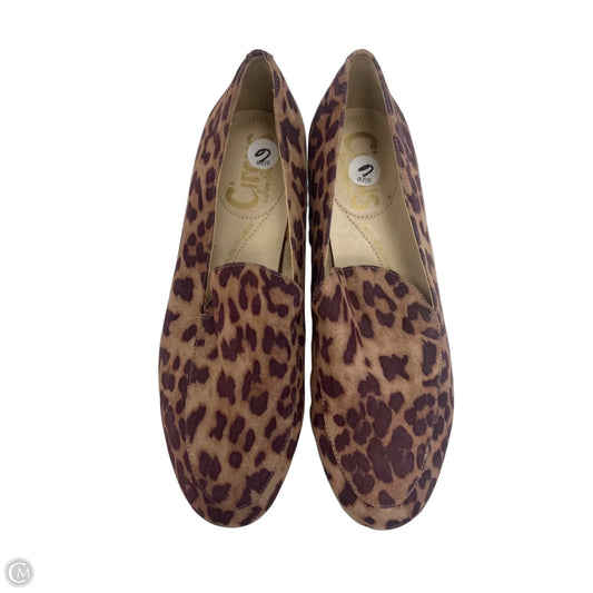 Shoes Flats By Circus By Sam Edelman In Animal Print, Size: 6