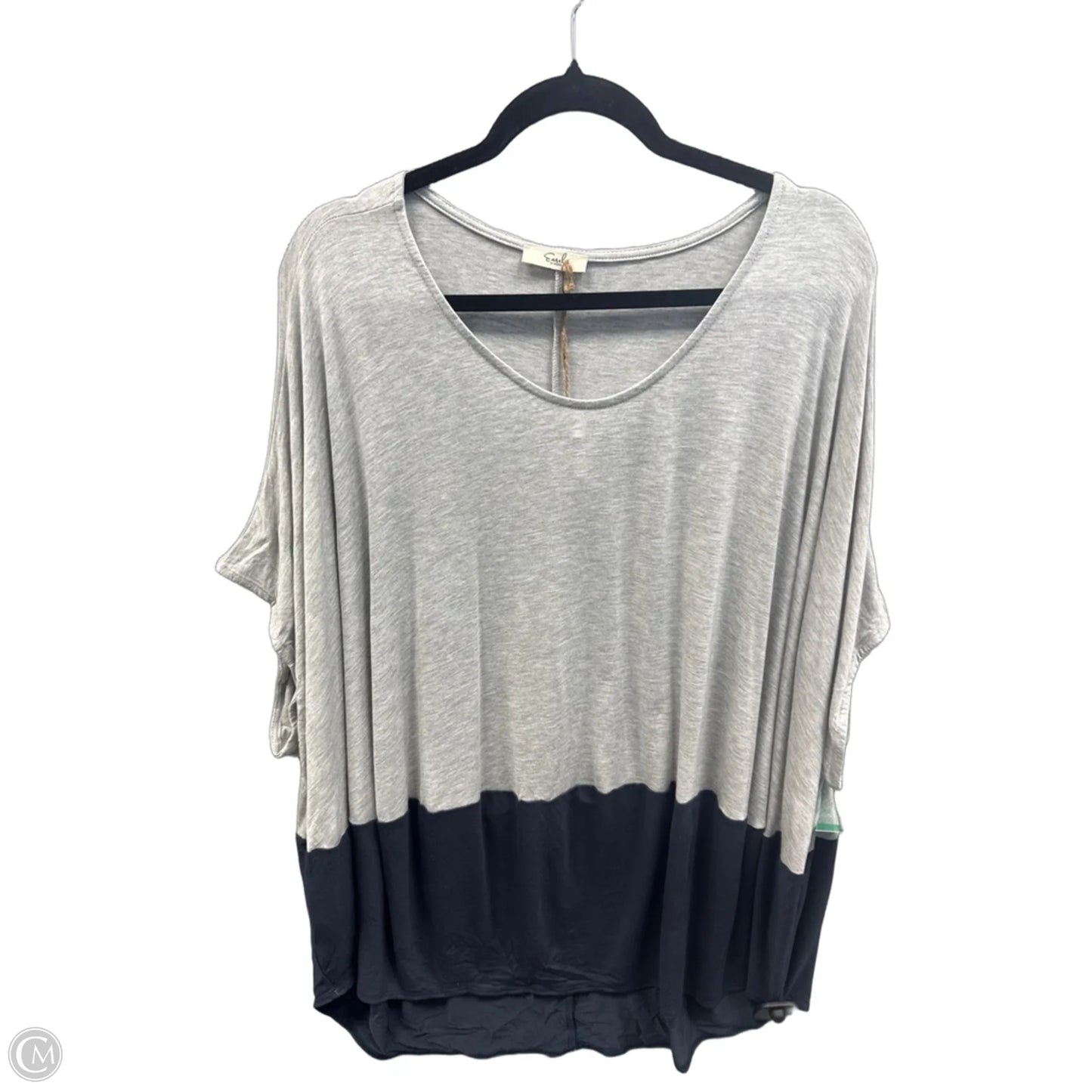 Top Short Sleeve By Easel In Blue & Grey, Size: 1x