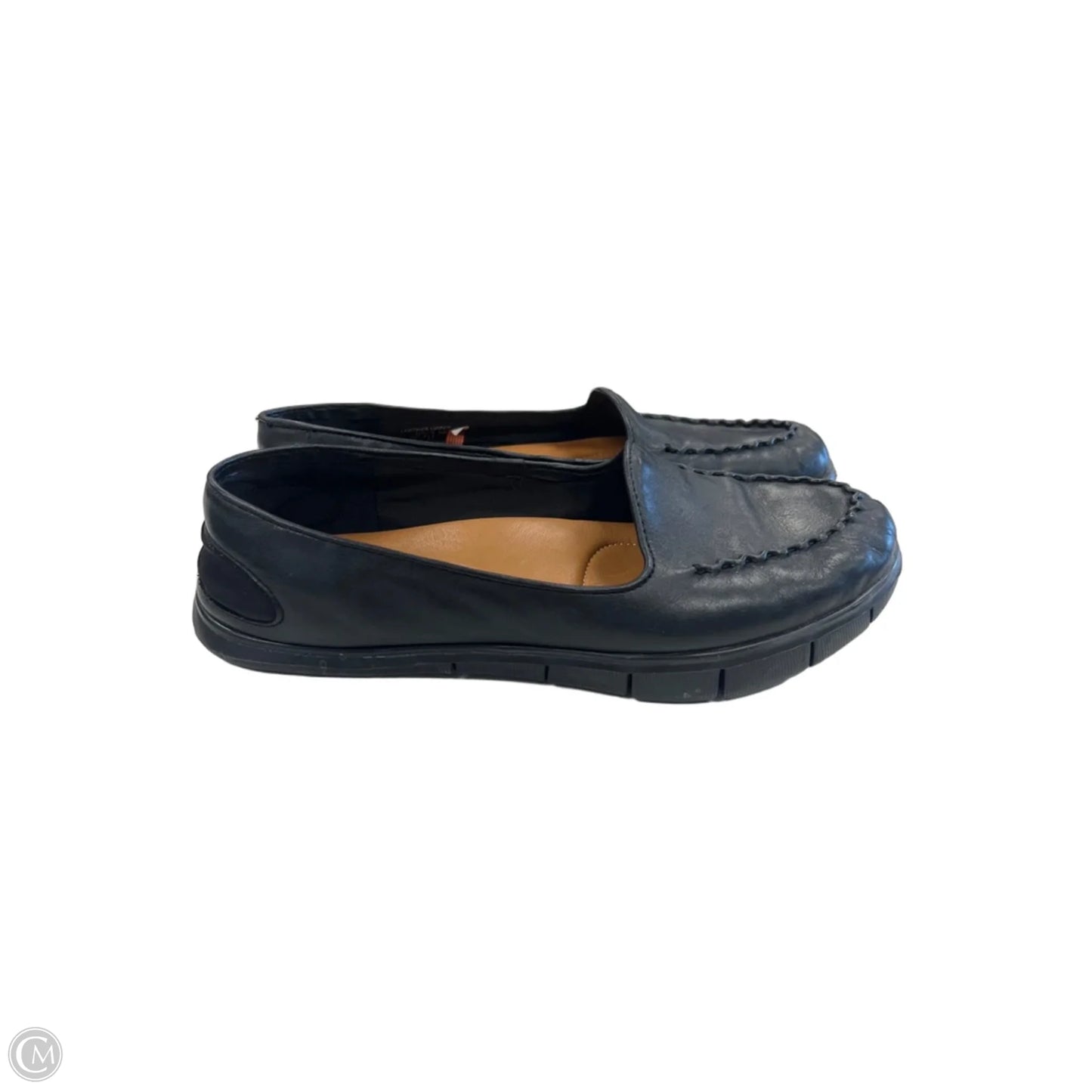 Shoes Flats By Earth In Black, Size: 8.5