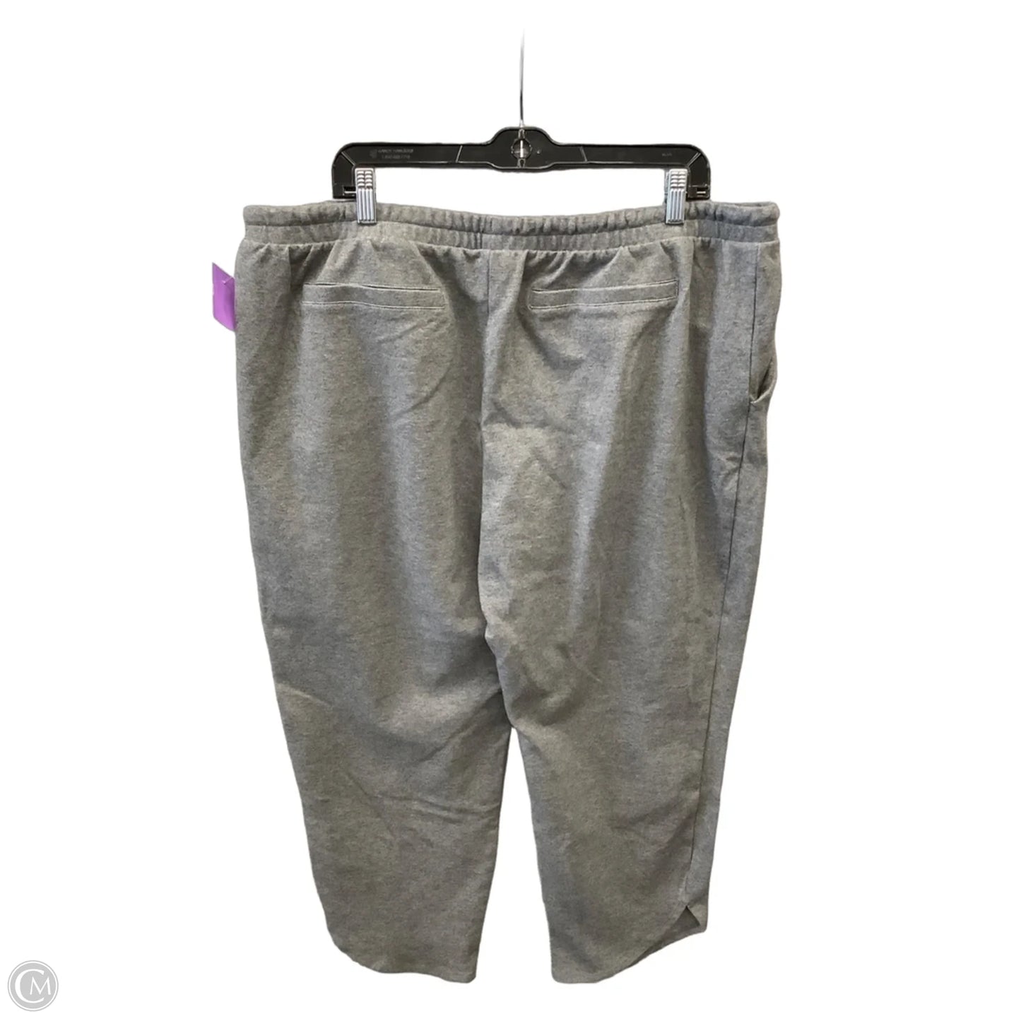 Pants Other By Time And Tru In Grey, Size: 20