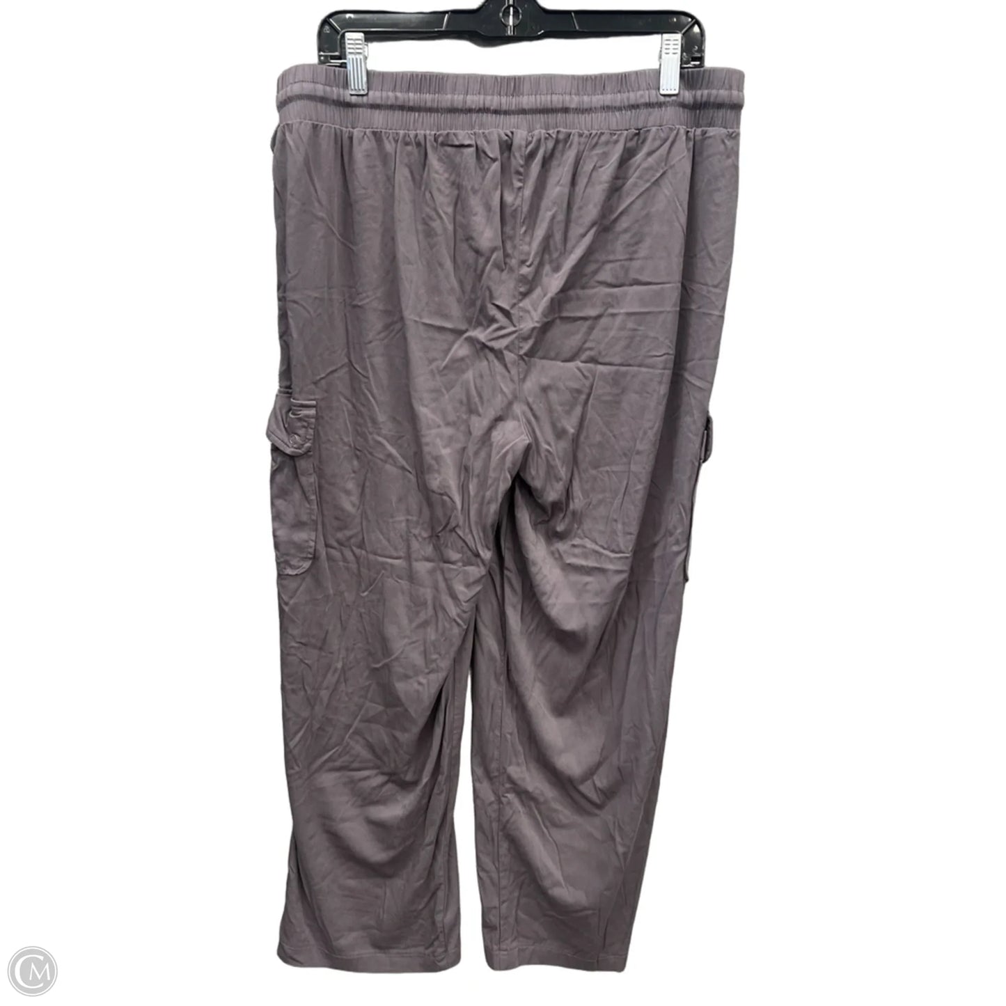 Pants Other By Torrid In Grey, Size: 12