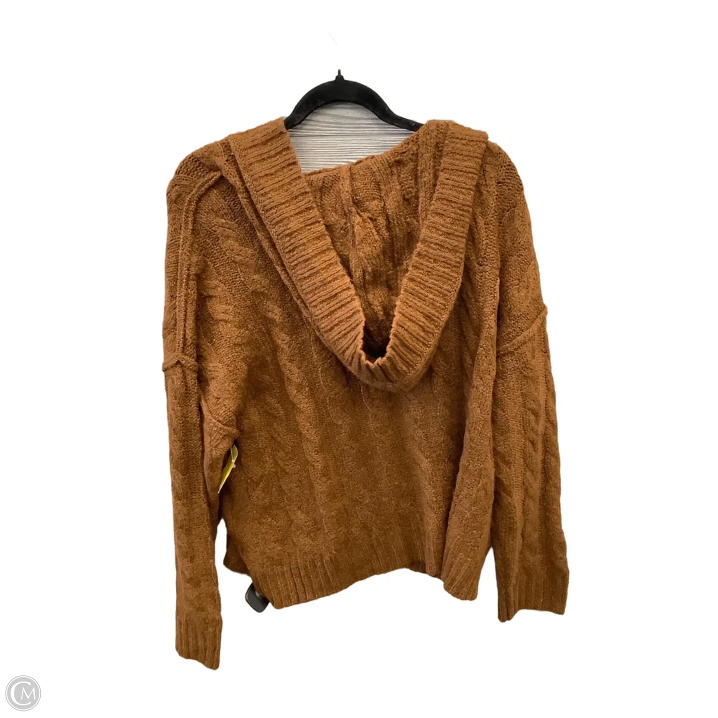 Sweatshirt Hoodie By American Eagle In Brown, Size: M
