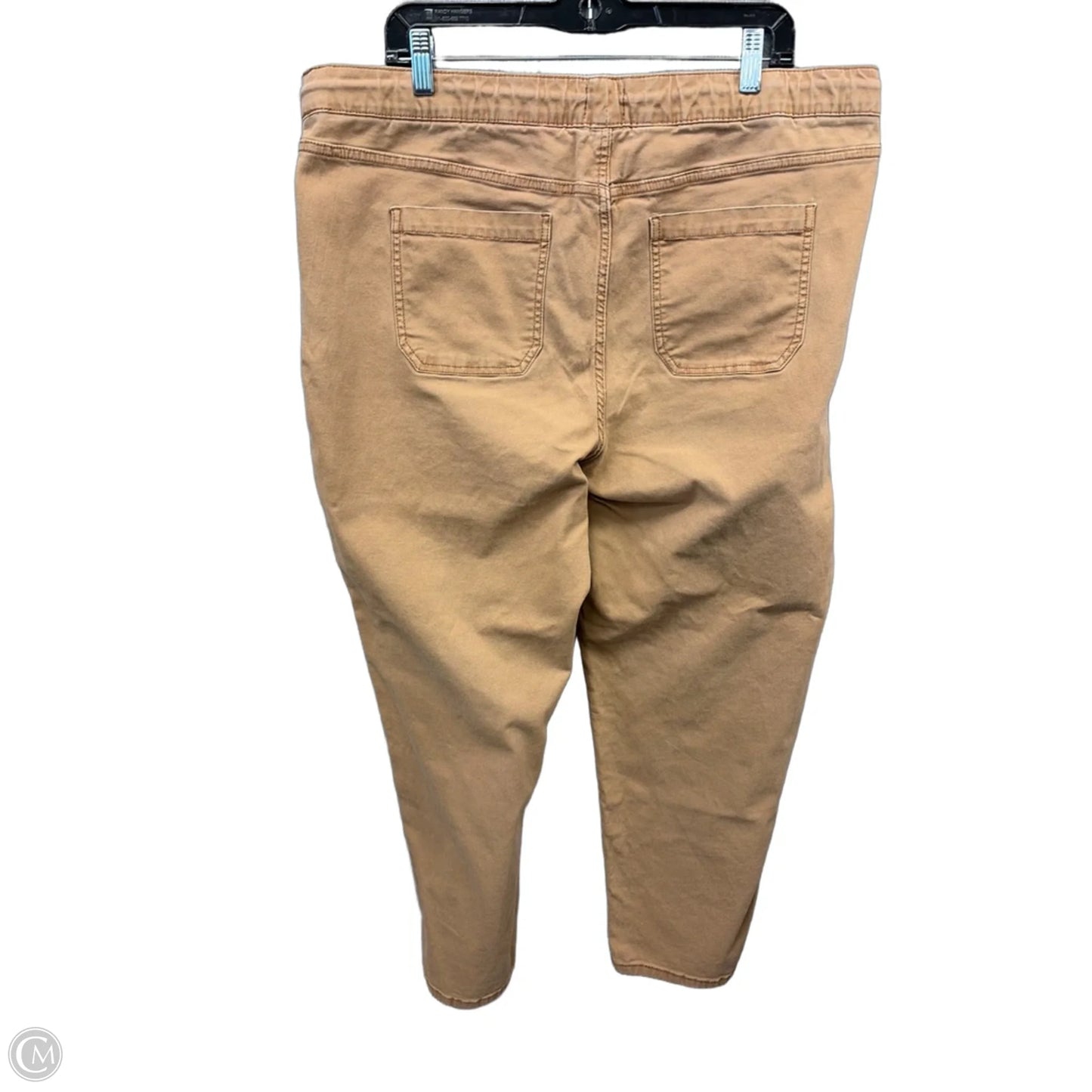 Pants Other By Time And Tru In Brown, Size: 18