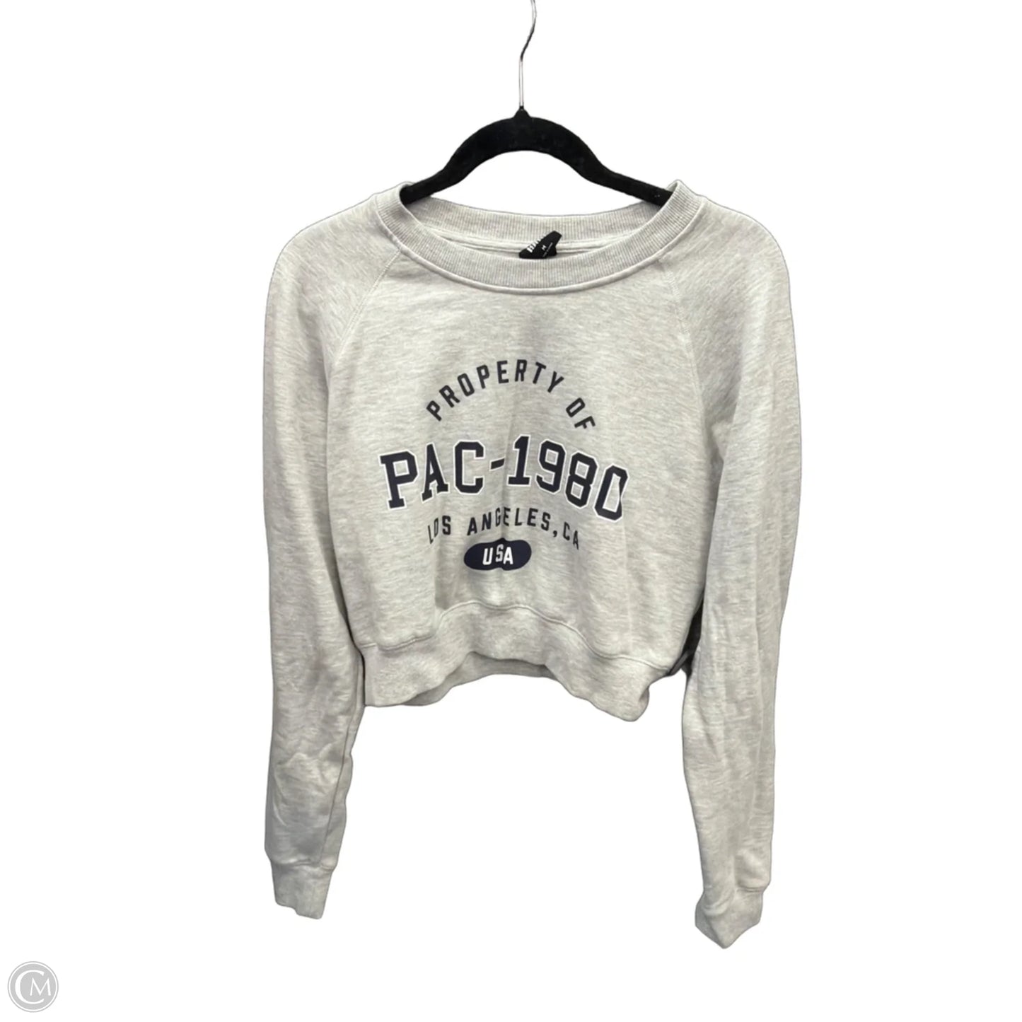Sweatshirt Crewneck By Pacsun In Grey, Size: M