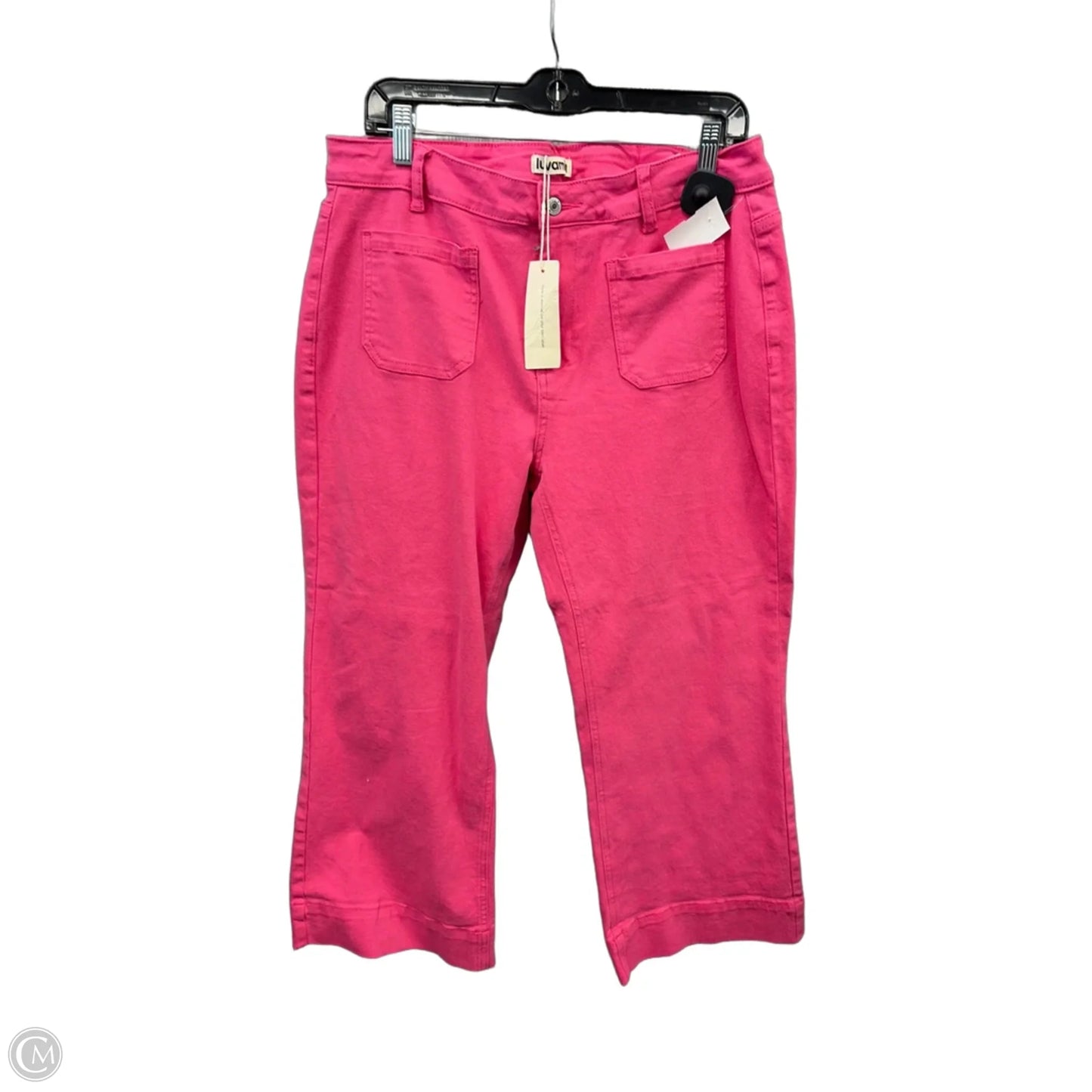 Pants Wide Leg By Clothes Mentor In Pink, Size: 14