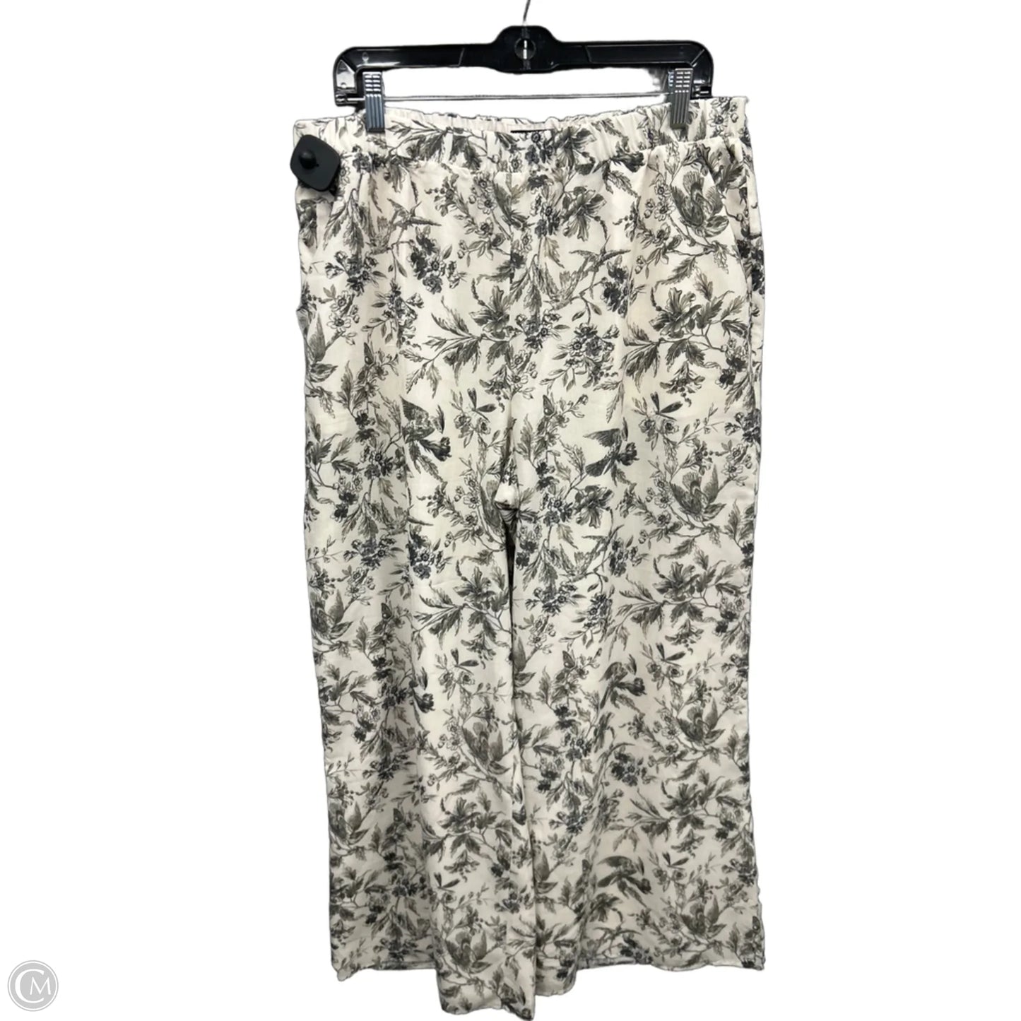 Pants Wide Leg By Express In Cream & Green, Size: 12