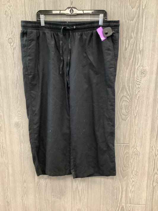 Black Capris Amazon Essentials, Size 12